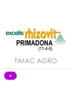 EXCELIS PRIMADONA (11-4-6)