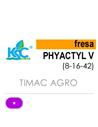 KSC PHYTACTYL 5·(V) FRESA (8-16-42)
