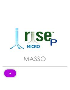 RISE P