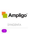 AMPLIGO