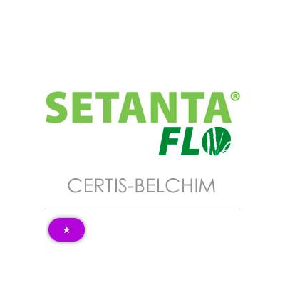 SETANTA FLO