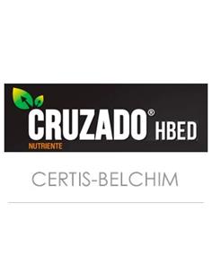CRUZADO HBED