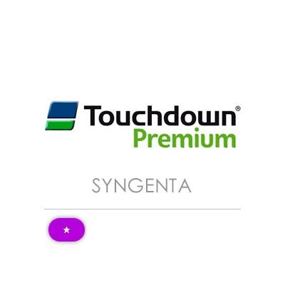 TOUCH DOWN PREMIUM