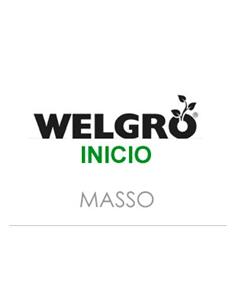 WELGRO INICIO