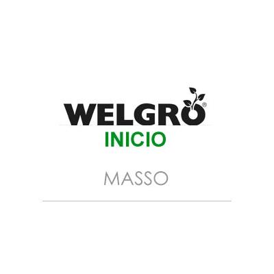 WELGRO INICIO