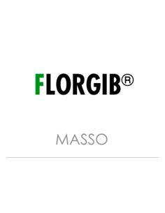 FLORGIB