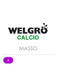 WELGRO CALCIO