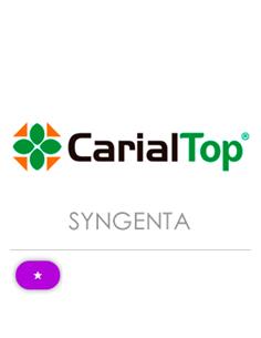 CARIAL TOP