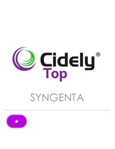 CIDELY TOP