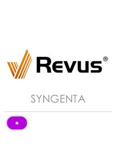 REVUS