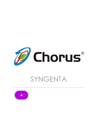 CHORUS