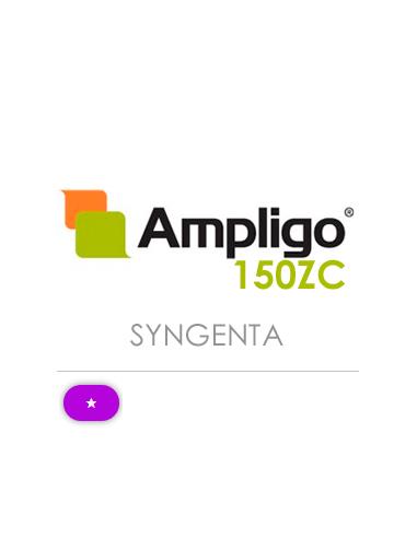 AMPLIGO 150 ZC