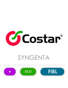 COSTAR WG