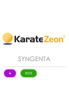 KARATE ZEON 10 CS