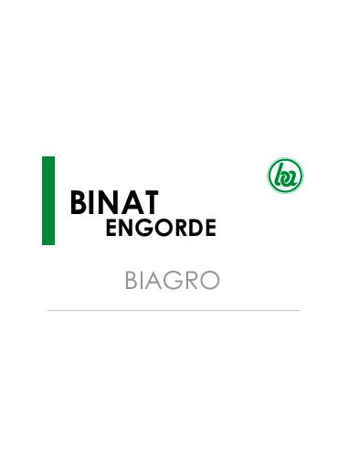 BINAT ENGORDE