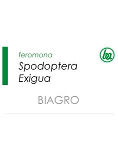 SPODOPTERA EXIGUA · BIAGRO