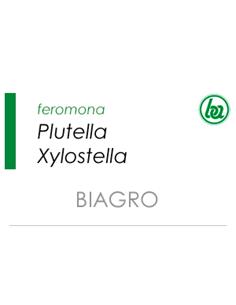 PLUTELLA XYLOSTELLA · BIAGRO